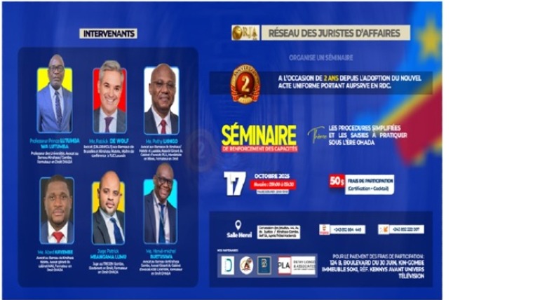 LES PROCEDURES SIMPLIFIÉES ET LES SAISIES À PRATIQUER  SOUS L’ÈRE OHADA