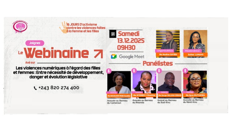 Les violences numériques à l'égard des filles et femmes : Entre nécessité de développement , danger et évolution  législative