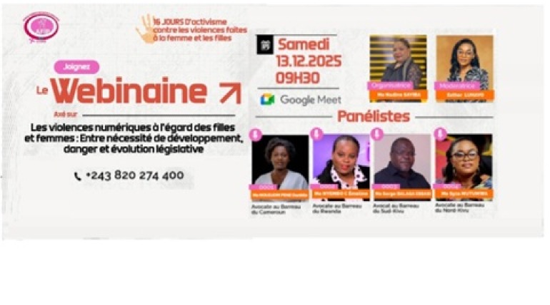 Les violences numériques à l'égard des filles et femmes : Entre nécessité de développement , danger et évolution  législative