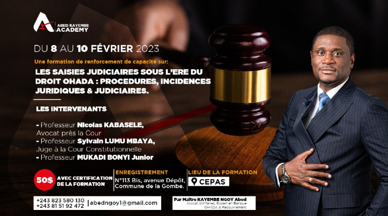 LES SAISIES JUDICIAIRES SOUS L'ERE DU DROIT OHADA : PROCEDURES, INCIDENCES JURIDIQUES & JUDICIAIRES.